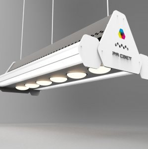 Солнца хватит на всех!